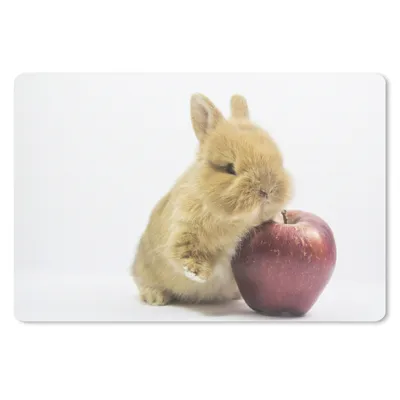 Produktbild von MuchoWow® Schreibtischunterlage Kaninchen - Baby - Apfel 60x40 cm - XXL Mauspad - Großes Mauspad