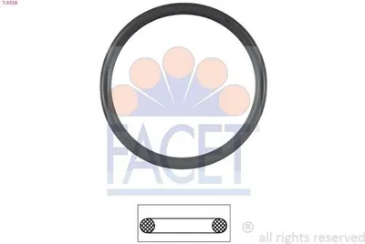 Produktbild von FACET Dichtung Thermostat 7.9538 für VW Golf IV Schrägheck (1J1)