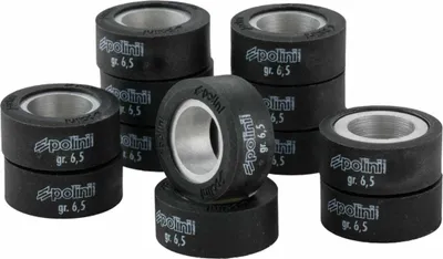 Immagine prodotto di POLINI set rulli variatore 25x11mm 9.6gr - 12 pezzi