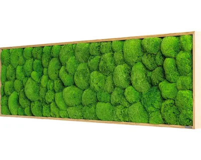 Obrázok produktu pre Machový obraz v drevenom ráme 140x40 cm