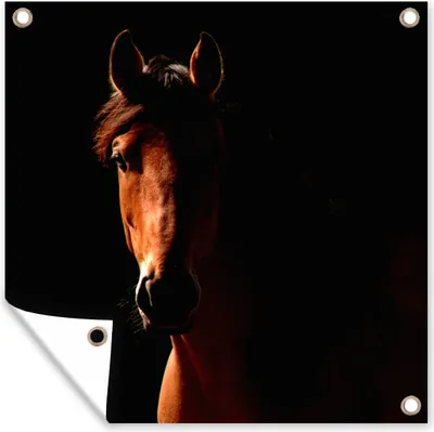 Produktbild von MuchoWow® 100x100 cm Outdoor-Poster Gartendeko Sichtschutz Garten Poster für den Garten  Pferd - Licht - Porträt