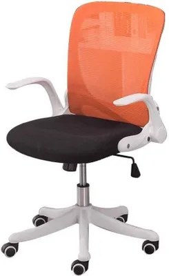 Productafbeelding van Ergonomische bureaustoel met ademend netmateriaal, verstelbare rugleuning en armleuningen.