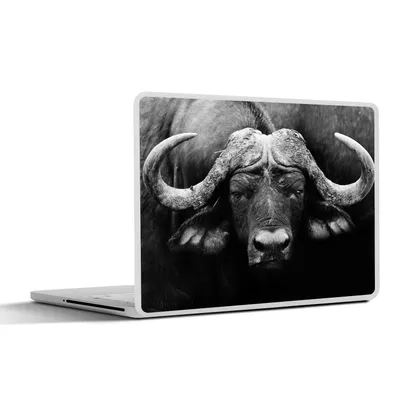 Produktbild von MuchoWow® Laptop Aufkleber Sticker Cover Tiere - Büffel - Schwarz - Weiß - Porträt 32.5x23.5 cm - Sticker für Laptop - Selbstklebend