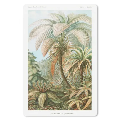 Produktbild von MuchoWow® Mauspad Mousepad Vintage - Alte Meister - Farne - Pflanzen - Natur 18x27 cm - Mousepads - Maus Mat - Pad - Mausunterlage
