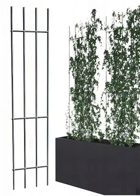 Produktbild von Famanu Pflanzengitter Pflanzenhalter und Rankhilfe - 150 cm Hoch - Schwarz