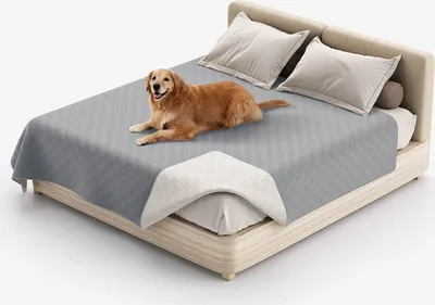 Image de (82x86 pouces, gris clair) 100% imperméable couverture de lit pour chien couverture pour animaux de compagnie canapé protection pour meubles lit canapé réversible