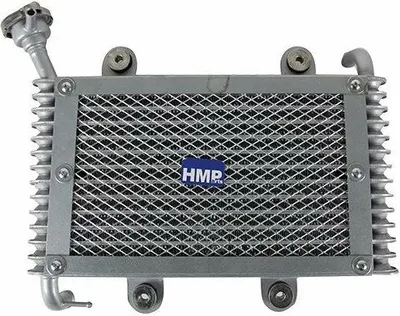 Produktbild von Wasserkühler Kühler Typ7 für ATV Quad Bashan HMParts