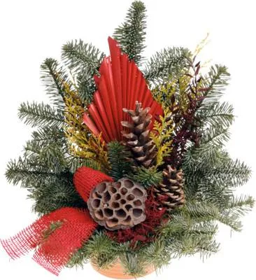 Produktbild von Grabschale Nobilis Ø 13 cm H ca. 35 cm B ca. 35 cm rot