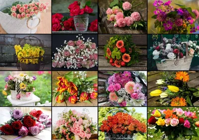 Zdjęcie produktu dla Grafika 30100