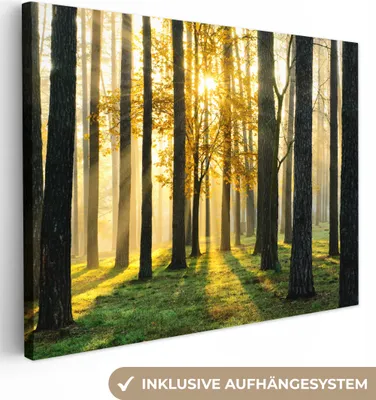 Produktbild von MuchoWow® - Leinwandbilder - Wald - Sonne - Bäume - Gras - Landschaft - Natur, Wandbild, Wanddeko Bilder Wohnzimmer, 120x90cm