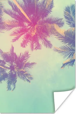 Produktbild von MuchoWow® Poster Palmen - Palmenblätter - Sommer - Tropisch 120x180 cm - Kunstposter