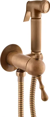 A close-up studio shot of a vintage-style bidet sprayer and faucet.