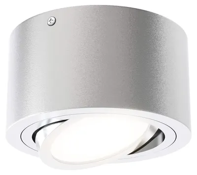 Obrázok produktu pre LED stropné svietidlo na povrchovú montáž 5 W otočné 3000K strieborné Ø 9 cm kovové Briloner