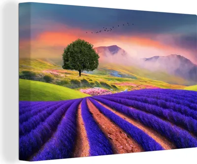 Produktbild von OneMillionCanvasses® - Leinwandbilder - 150x100 cm, Gemälde eines Lavendelfeldes, Wandbilder Kunstdruck Wanddekoration