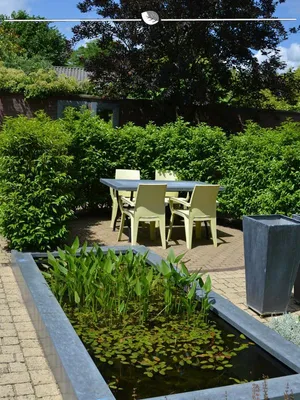 Produktbild von Portugiesischer Kirschlorbeer Prunus Angustifolia 140-160 cm im Topf, 7x Heckenpflanze