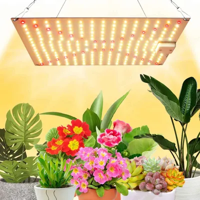 Produktbild von 240 LEDs Pflanzenlampe Vollspektrum Pflanzenlicht Zimmerpflanzen Wachstumslampe Grow Lampe