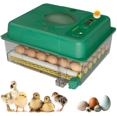 Produktbild von Brutmaschine, vollautomatisch, für 36 Eier, Inkubator mit 5 automatischen Brutmodi, Brutmaschine mit Temperaturregelung, Feuchtigkeitsanzeige und Eierbeleuchtung