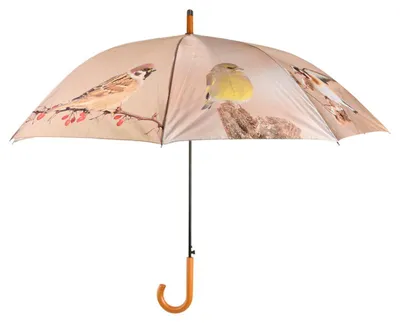 Imagen del producto de Esschert Design: Paraguas con diseño de pájaros de invierno