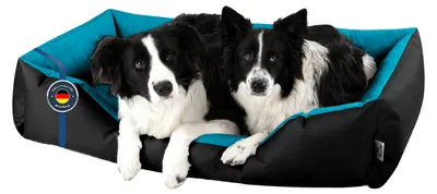Immagine prodotto di Letto per cani LUPI divano per cani cuscino per cani lavabile, BLUE-SKY (nero/blu), (XXL) circa 120x85x23cm
