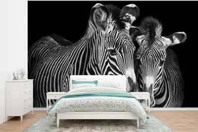Produktbild von MuchoWow® Fototapete für Wohnzimmer oder Schlafzimmer Wandtapete Vinyl Motivtapete Tierprofil Zebras in Schwarz und Weiß - 375x280 cm - Schlafzimmer tapete
