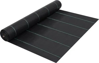 Image de Toile de jardin - 1 rouleau - 50 m de long - 60 g/m² - Imperméable - à rayures vertes - Noir