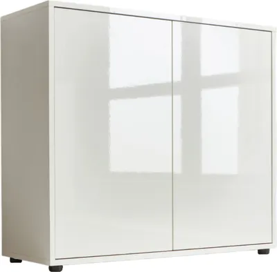 A white high-gloss cabinet with two doors.