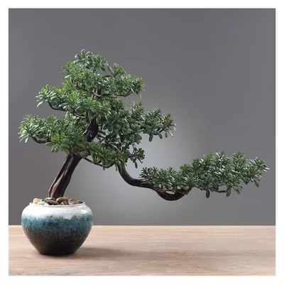 Image de Plante de bonsaï artificielle pour décoration intérieure