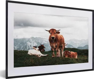 Produktbild von MuchoWow® Gerahmtes Poster Tiere - Kuh - Berg 60x40 cm - Poster mit Schwarzem Bilderrahmen Wandposter Rahmen Foto Bilder - Schlafzimmer - Plakat in Rahmen - Drucken