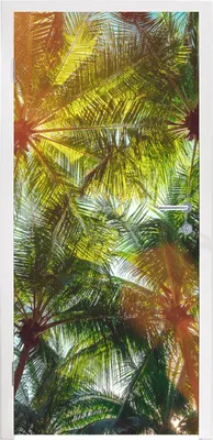 Produktbild von MuchoWow® Türtapete Selbstklebende Türfolie Blätter - Palme - Sonne 90x215 cm Türposter Türaufkleber Klebefolie Türklebefolie - Plakat an der Tür - Türsticker - Aufklebern