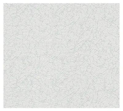 Obrázek produktu pro A.S. Création malířská netkaná tapeta Meistervlies 6 tapeta bílá 10,05 m x 0,53 m 265616 2656-16