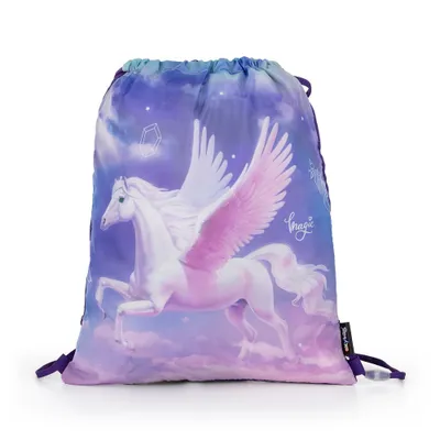 Zdjęcie produktu dla Worek treningowy Oxybag Pegasus