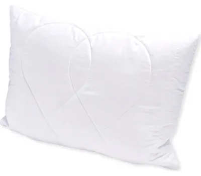 Obrázok produktu pre Vankúš Aloe Vera 50x70 cm 400g so zipsom