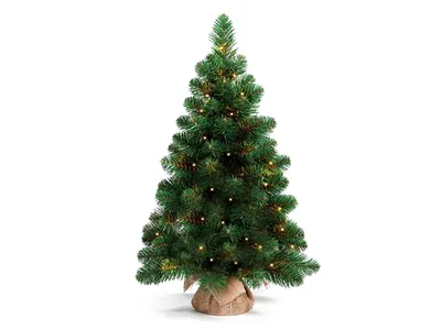 Immagine prodotto di Albero di Natale artificiale abete verde Bernard in vaso 60 cm con ILLUMINAZIONE LED
