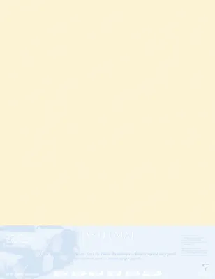 Produktbild von Clairefontaine Papier für Pastellmalerei 5 Bogen 70x100cm Maisfarben 396023C