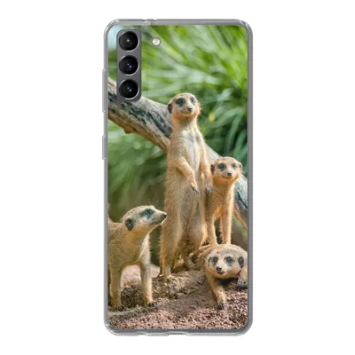 Produktbild von MuchoWow® Handyhülle Schutzhülle Hülle für Samsung Galaxy S21 Plus Familie - Tiere - Erdmännchen Silikon Softcase Handy Hülle - Handy-Tasche