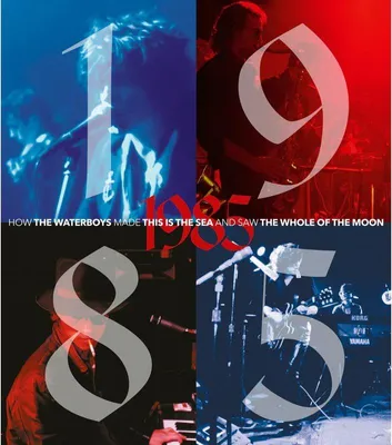 Obrázok produktu pre The Waterboys: (Box Set) - - (CD / #)