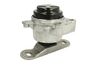 Obrázok produktu pre Motorový nosič REINHOCH RH11-4039