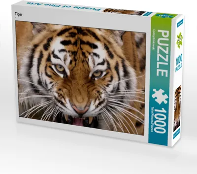Produktbild von CALVENDO Puzzle Tiger | 1000 Teile Lege-Größe 64x48cm Foto-Puzzle für glückliche Stunden