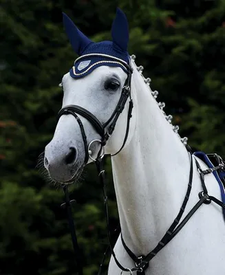 Produktbild von Passier Trense Juno Trensenzaum Schwarz/Edelstahl Warmblut