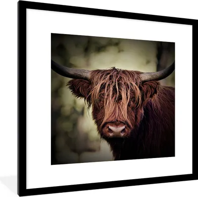 Produktbild von MuchoWow® Gerahmtes Poster Schottischer Hochländer - Licht - Porträt - Natur 40x40 cm - Poster mit Schwarzem Bilderrahmen Wandposter Rahmen Foto Bilder - Poster - Plakat im Rahmen