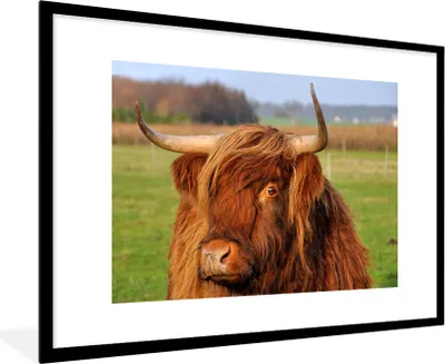 Produktbild von MuchoWow® MuchoWow® Gerahmtes Poster Schottisches Hochlandrind - Gras - Baum 90x60 cm - Poster mit zchwarzem Bilderrahmen - Wanddekoration - Fotos