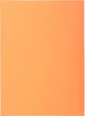 Produktbild von Exacompta 5x 250er Packung SUPER 60 Sortiert - Sand - 850002E