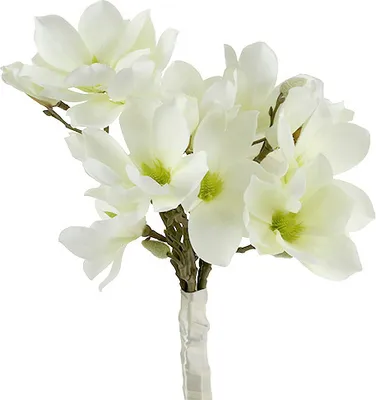 Produktbild von Magnolienbund Weiß 40cm 5St - Künstliche Blumen Dekoration für Hochzeit und Wohnzimmer, 5 Stück