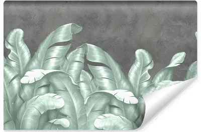 Produktbild von Muralo Vlies Fototapete BANANENBLÄTTER Pflanzen Beton Natur 520 cm x 318 cm