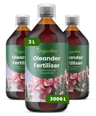 Zdjęcie produktu dla Oleander Nawóz Płynny 3x1 L – 2-1-8 NPK – Do Oleander – Podporuje Stabilny, Witalny Wzrost – Organifer