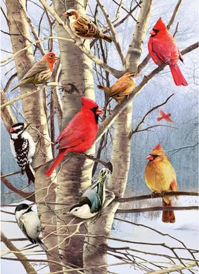 Produktbild von COBBLE HILL Puzzle PTCI im Winter 1000 dlks