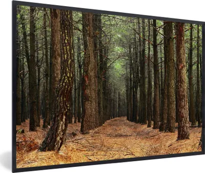 Produktbild von MuchoWow® Gerahmtes Poster Herbst - Dekoration - Wald 90x60 cm - Poster mit Schwarzem Bilderrahmen Wandposter Rahmen Foto Bilder - Fotorahmen - Foto-Plakat