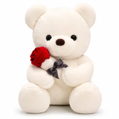 Produktbild von wiztex Teddybär Kuscheltier – 23 cm Bezauberndes Stoffbärenspielzeug Weiß Stofftier