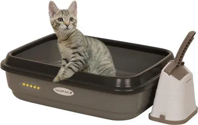 Produktbild von Kattenschüssel mit Rand 40x50x15 cm - Set mit Streuabscheider und Hygiënepfichter - 100% recyceltes Material - Hellgrau
