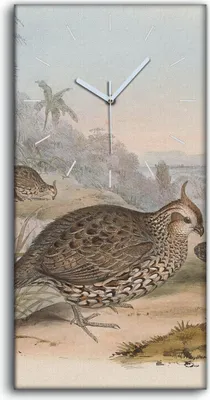 Produktbild von Leinwand Uhr Küche Wohnzimmer Bild 30x60 Vögel Wild Tiere Zeichnung Kunst - weiße Hände